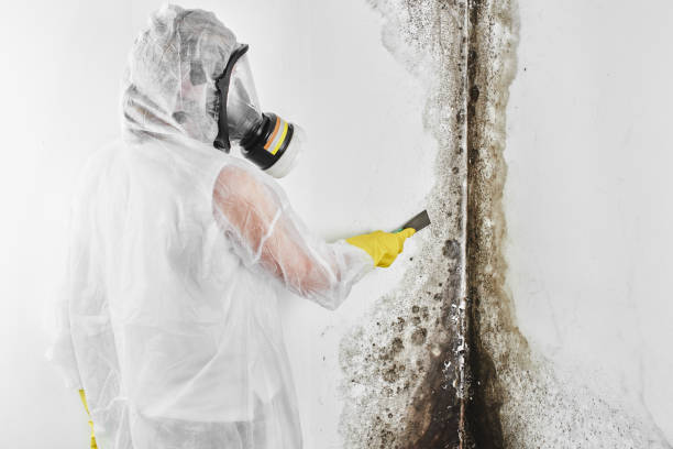 Water Damage Restoration in Springfield, OH