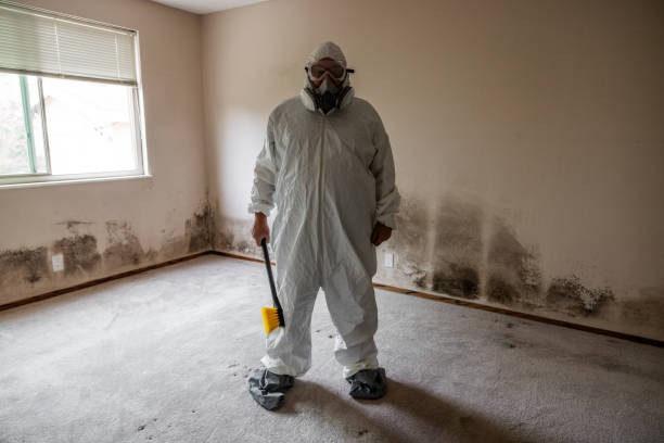 Best Residential Mold Removal  in Springfield, OH